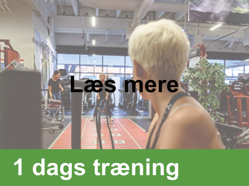 1dag