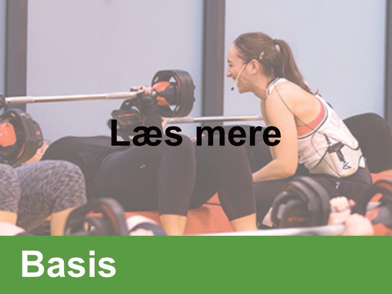 Basis