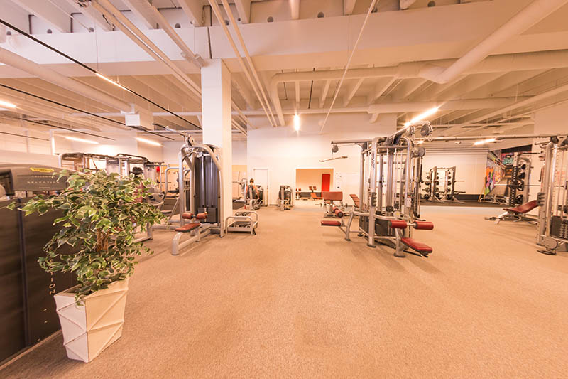 LifeClub Lys Roskilde